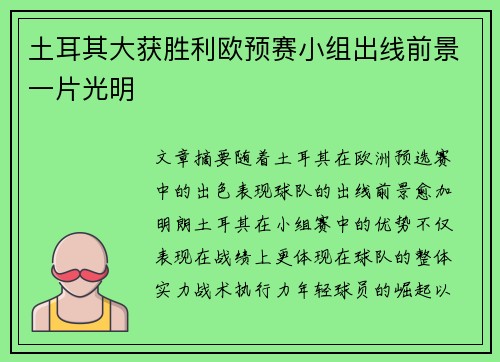 土耳其大获胜利欧预赛小组出线前景一片光明